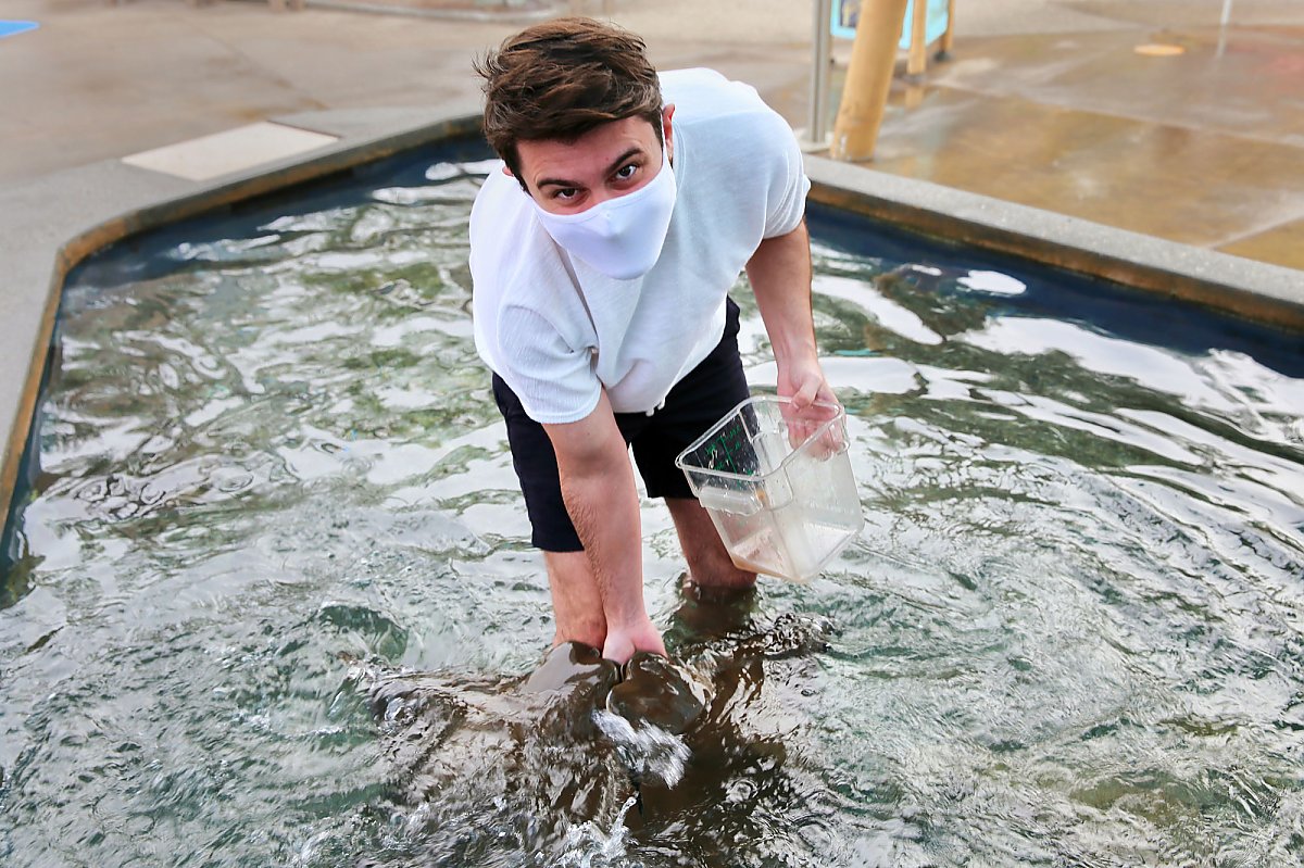 Young masked mad feeds rays by hand while wading in a shallow pool