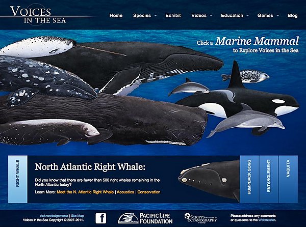 Group of whales and logo